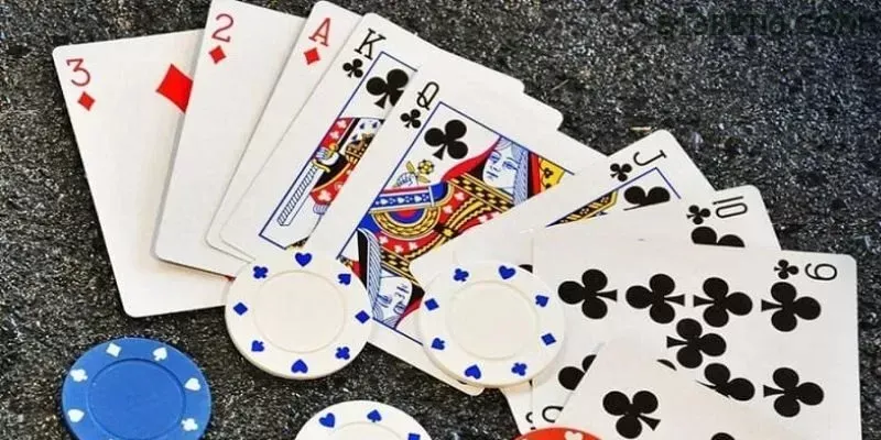 813bet